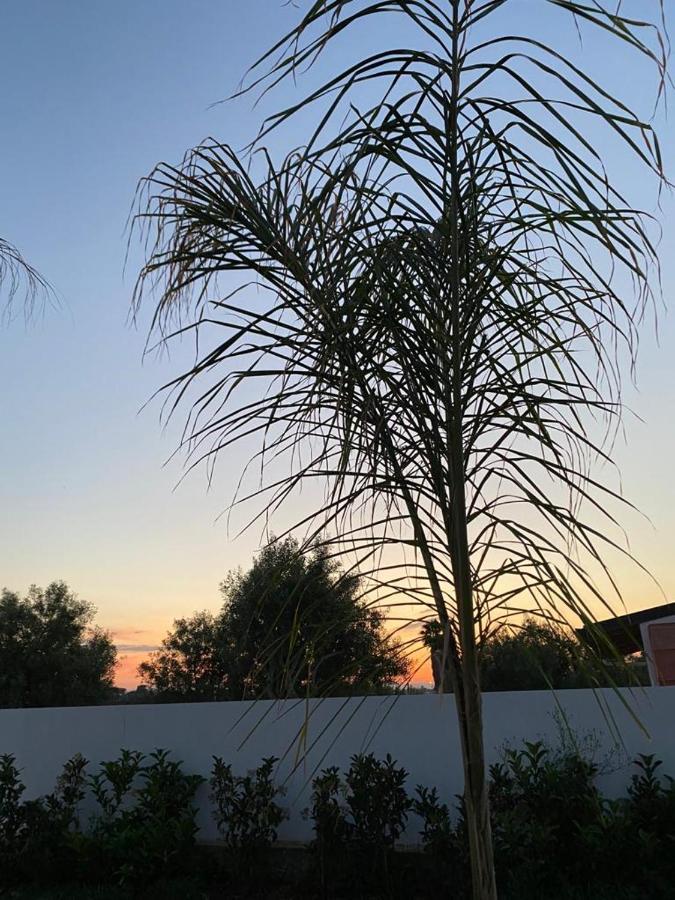 Villa Per Vacanze Isola Fanusa Kültér fotó