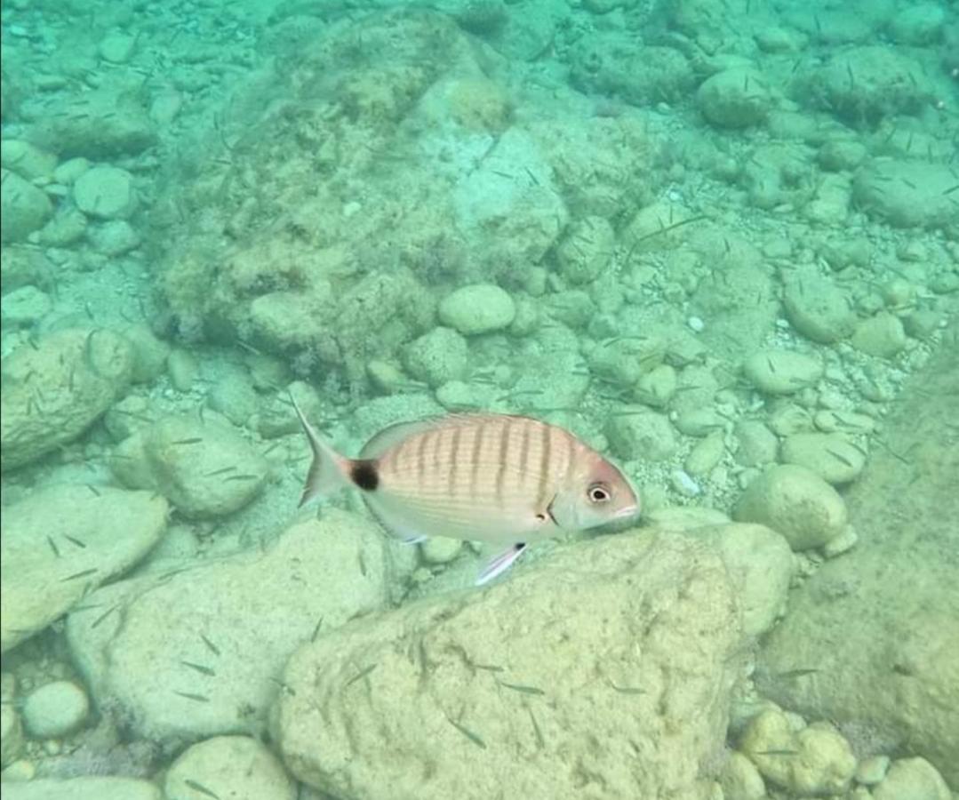 Villa Per Vacanze Isola Fanusa Kültér fotó